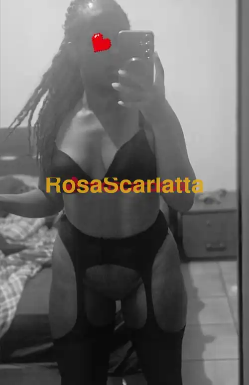Terza immagine della gallery