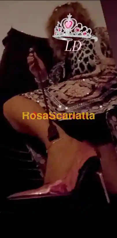 Seconda immagine della gallery