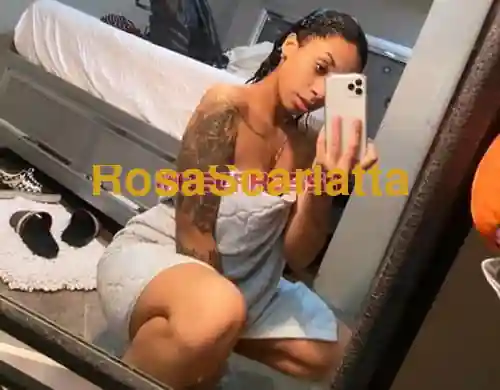 Seconda immagine della gallery