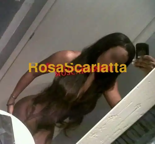 Terza immagine della gallery