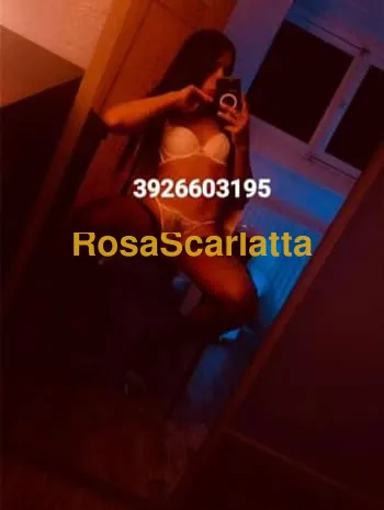 Prima immagine della gallery