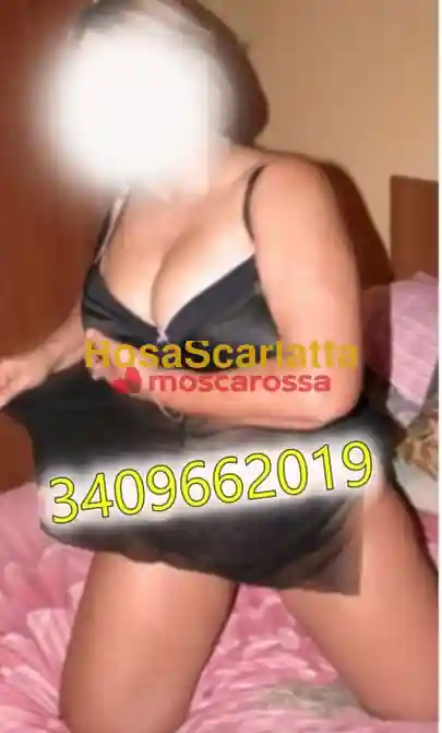 Seconda immagine della gallery