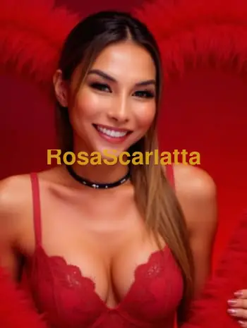 Nina trans ladyboy - Bergamo