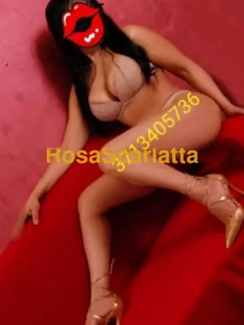 Novita