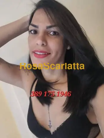 Renata - Livorno