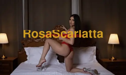 Seconda immagine della gallery