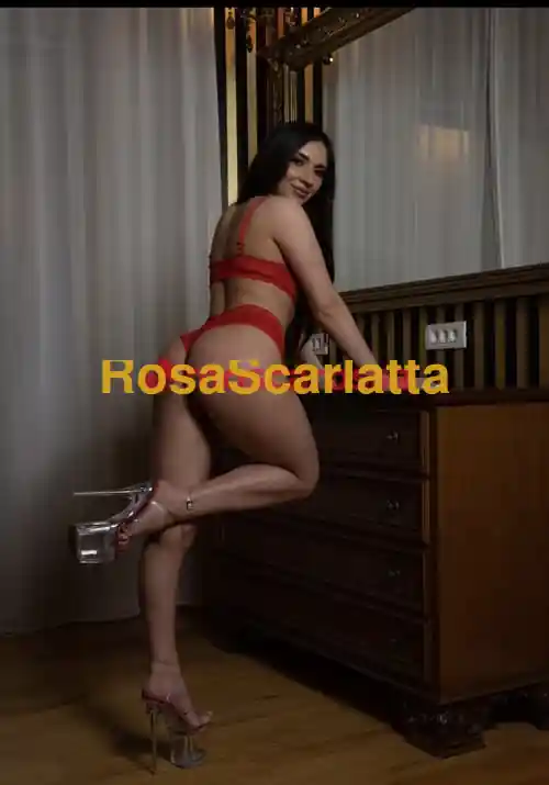 Terza immagine della gallery