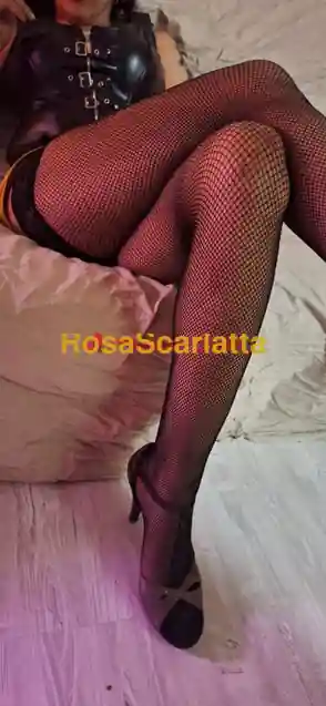 Seconda immagine della gallery