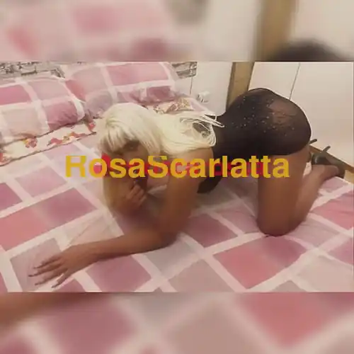 Terza immagine della gallery