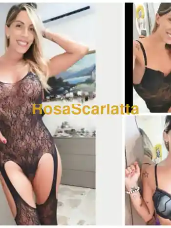 Noemi
