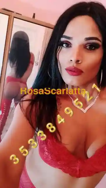 Seconda immagine della gallery