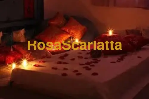 Seconda immagine della gallery