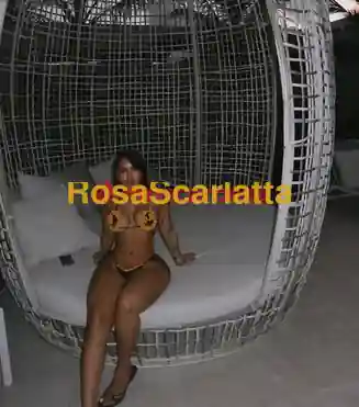 Terza immagine della gallery