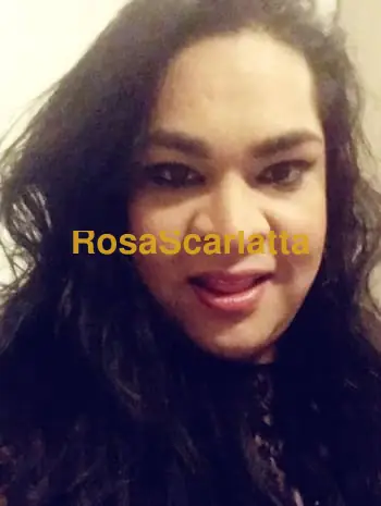 Beatrice huns transex