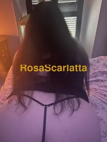 Fatima - Bari
