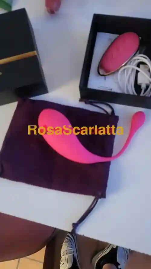 Seconda immagine della gallery