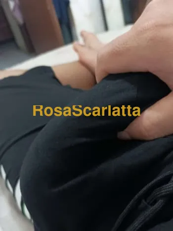 Brasiliano dotato