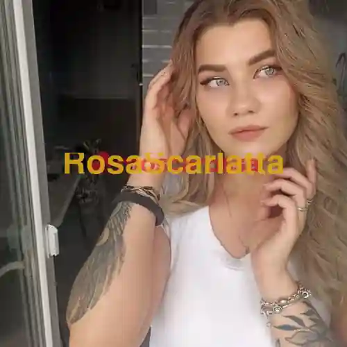 Seconda immagine della gallery