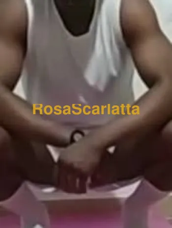 Suggestchris