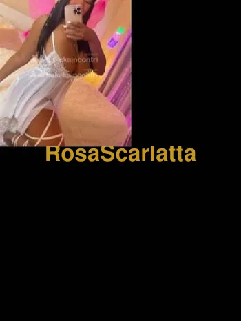 Prima immagine della gallery