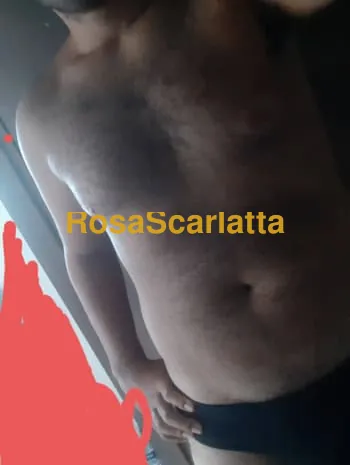 Stefano