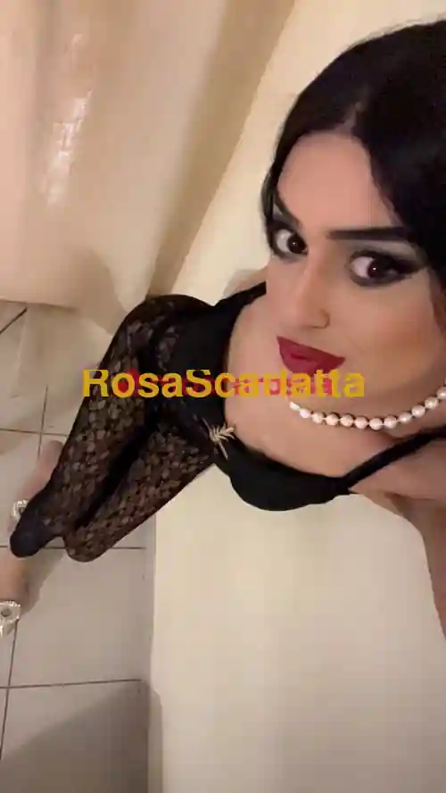 Seconda immagine della gallery