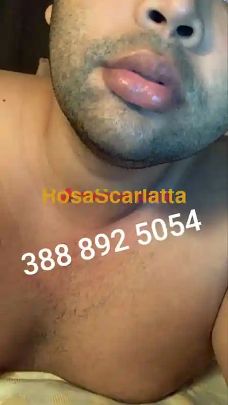 Seconda immagine della gallery