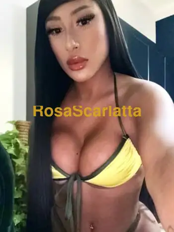 Prima immagine della gallery