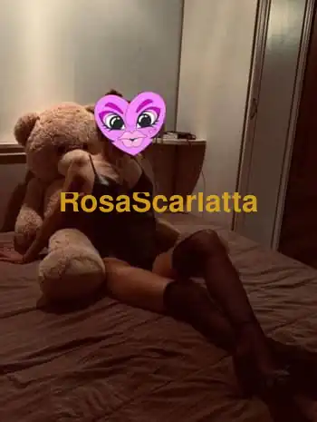 Prima immagine della gallery