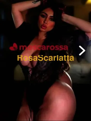 Indiana - Alessandria