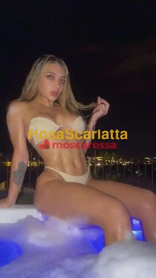 Seconda immagine della gallery