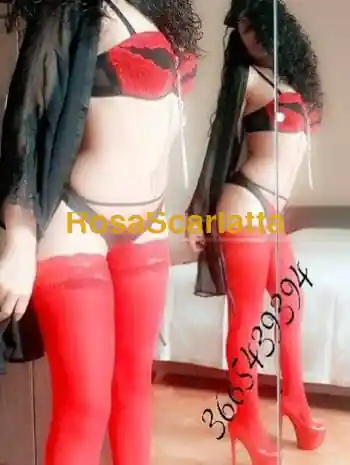 Squirting anne - Torino