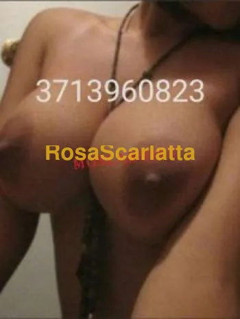 Rosa - Firenze
