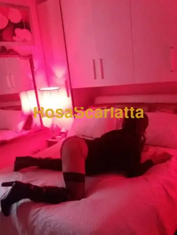 Monica - Torino