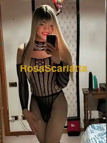 Mia anaconda