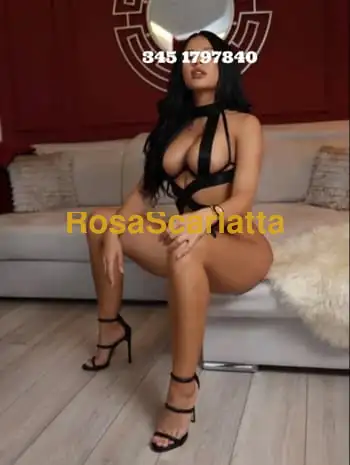 New caserta - Caserta