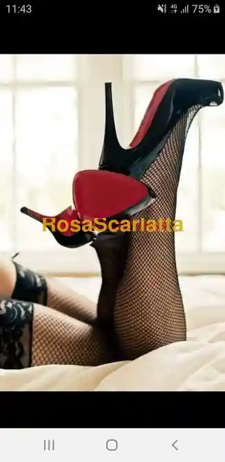 Seconda immagine della gallery