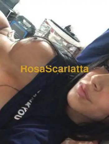 Ariel - Ragusa