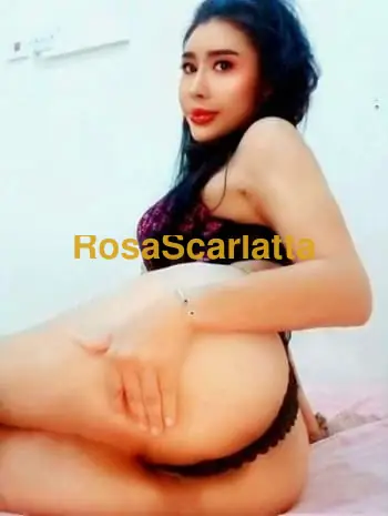 Candy thai - Trapani