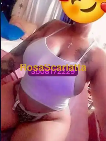 Anais