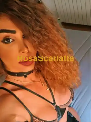 Prima immagine della gallery