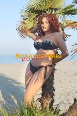 Seconda immagine della gallery
