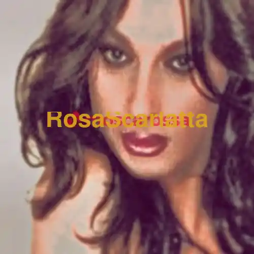 Seconda immagine della gallery