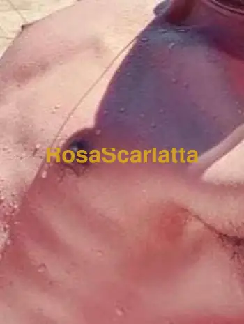 Arabo attivo a pagamento