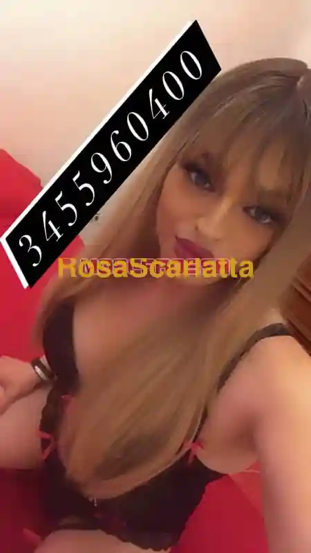 Terza immagine della gallery