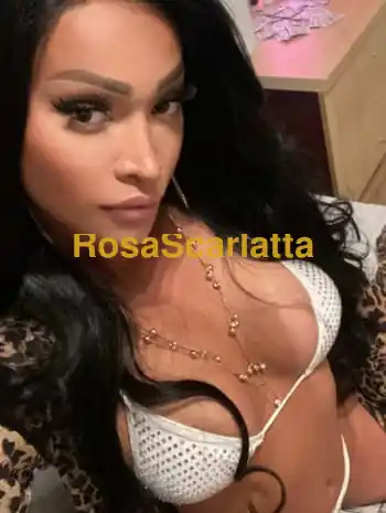 Patricia ginnari