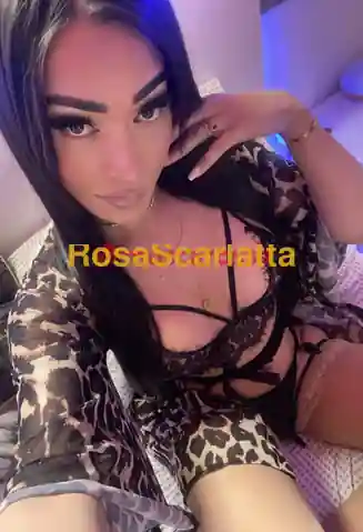 Seconda immagine della gallery