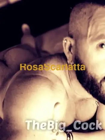 Giorgio thebigcock