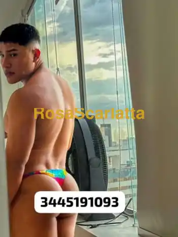 New