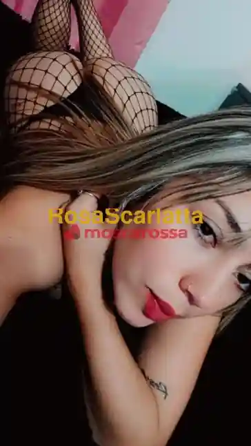 Seconda immagine della gallery